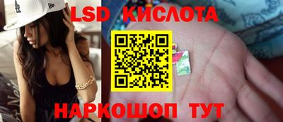 стаф Будённовск