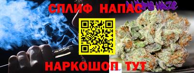 стаф Будённовск