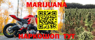стаф Будённовск