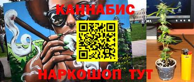 стаф Будённовск