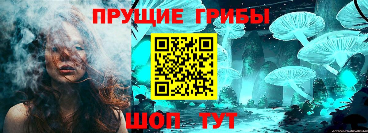 Калуга  Галлюциногенные грибы Psilocybe  Вход с VPN 
